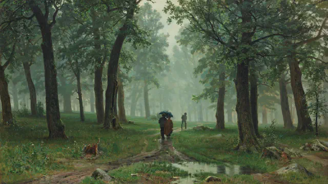 featured image rain-in-oak-forest.png